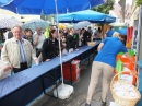 Baehnlesfest-Tettnang-130915-Bodensee-Community-SEECHAT_DE-_102_.JPG