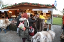 SEECHAT-Treffen-Weihnachtsmarkt-1212215-Bodensee-Community-SEECHAT_DE-IMG_4189.JPG