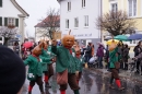 Langenargen-Fasnetsumzug-100115-Bodenseecomunity-SEECHAT_DE--1100.jpg