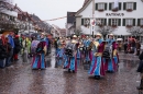 Langenargen-Fasnetsumzug-100115-Bodenseecomunity-SEECHAT_DE--1108.jpg