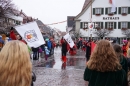 Langenargen-Fasnetsumzug-100115-Bodenseecomunity-SEECHAT_DE--1135.jpg