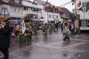 Langenargen-Fasnetsumzug-100115-Bodenseecomunity-SEECHAT_DE--1145.jpg