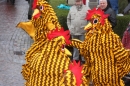 Langenargen-Fasnetsumzug-100116-Bodensee-Community-SEECHAT_DE-IMG-_101_.jpg