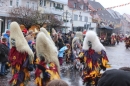 Langenargen-Fasnetsumzug-100116-Bodensee-Community-SEECHAT_DE-IMG-_226_.jpg