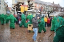 Langenargen-Fasnetsumzug-100116-Bodensee-Community-SEECHAT_DE-IMG_4053.JPG