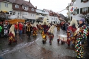 Langenargen-Fasnetsumzug-100116-Bodensee-Community-SEECHAT_DE-IMG_4140.JPG