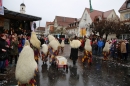 Langenargen-Fasnetsumzug-100116-Bodensee-Community-SEECHAT_DE-IMG_4143.JPG