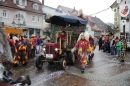 Langenargen-Fasnetsumzug-100116-Bodensee-Community-SEECHAT_DE-IMG_4148.JPG