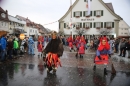 Langenargen-Fasnetsumzug-100116-Bodensee-Community-SEECHAT_DE-IMG_4187.JPG