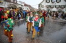 Langenargen-Fasnetsumzug-100116-Bodensee-Community-SEECHAT_DE-IMG_4210.JPG