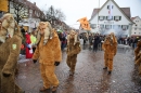 Langenargen-Fasnetsumzug-100116-Bodensee-Community-SEECHAT_DE-IMG_4233.JPG