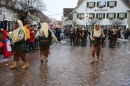 Langenargen-Fasnetsumzug-100116-Bodensee-Community-SEECHAT_DE-IMG_4263.JPG