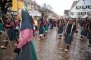 Langenargen-Fasnetsumzug-100116-Bodensee-Community-SEECHAT_DE-IMG_4272.JPG