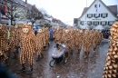 Langenargen-Fasnetsumzug-100116-Bodensee-Community-SEECHAT_DE-IMG_4310.JPG