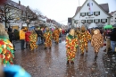 Langenargen-Fasnetsumzug-100116-Bodensee-Community-SEECHAT_DE-IMG_4311.JPG