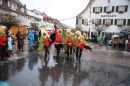 Langenargen-Fasnetsumzug-100116-Bodensee-Community-SEECHAT_DE-IMG_4312.JPG