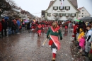 Langenargen-Fasnetsumzug-100116-Bodensee-Community-SEECHAT_DE-IMG_4338.JPG