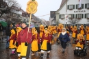 Langenargen-Fasnetsumzug-100116-Bodensee-Community-SEECHAT_DE-IMG_4379.JPG