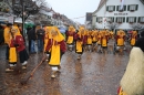 Langenargen-Fasnetsumzug-100116-Bodensee-Community-SEECHAT_DE-IMG_4382.JPG