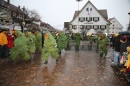 Langenargen-Fasnetsumzug-100116-Bodensee-Community-SEECHAT_DE-IMG_4455.JPG