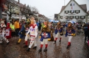 Langenargen-Fasnetsumzug-100116-Bodensee-Community-SEECHAT_DE-IMG_4462.JPG