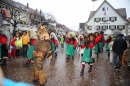 Langenargen-Fasnetsumzug-100116-Bodensee-Community-SEECHAT_DE-IMG_4483.JPG