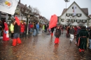 Langenargen-Fasnetsumzug-100116-Bodensee-Community-SEECHAT_DE-IMG_4491.JPG