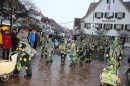 Langenargen-Fasnetsumzug-100116-Bodensee-Community-SEECHAT_DE-IMG_4526.JPG