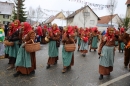 Welschingen-Fasnetsumzug-240116-Bodensee-Community-SEECHAT_DE-IMG_4784.JPG