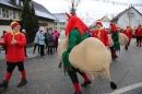 Welschingen-Fasnetsumzug-240116-Bodensee-Community-SEECHAT_DE-IMG_5023.JPG