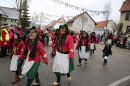 Welschingen-Fasnetsumzug-240116-Bodensee-Community-SEECHAT_DE-IMG_5057.JPG