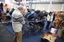 PFERD-BODENSEE-Friedrichshafen-13022016-Bodensee-Community-SEECHAT_DE-IMG_6905.JPG