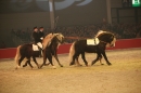 PFERD-BODENSEE-Friedrichshafen-13022016-Bodensee-Community-SEECHAT_DE-IMG_7478.JPG