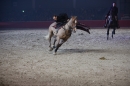 PFERD-BODENSEE-Friedrichshafen-13022016-Bodensee-Community-SEECHAT_DE-IMG_7609.JPG