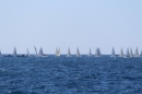 Mallorca-Segeln-Regatta-260316-Bodensee-Community-SEECHAT_DE-IMG_7175.JPG