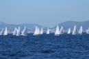 Mallorca-Segeln-Regatta-260316-Bodensee-Community-SEECHAT_DE-IMG_7210.JPG