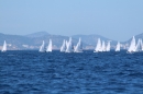 Mallorca-Segeln-Regatta-260316-Bodensee-Community-SEECHAT_DE-IMG_7211.JPG