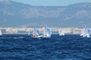 Mallorca-Segeln-Regatta-260316-Bodensee-Community-SEECHAT_DE-IMG_7274.JPG