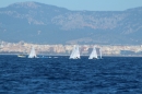 Mallorca-Segeln-Regatta-260316-Bodensee-Community-SEECHAT_DE-IMG_7295.JPG