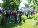 Flohmarkt-Riedlingen-2016-05-28-Bodensee-Community-SEECHAT_DE-_175_.JPG