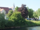 Flohmarkt-Riedlingen-2016-05-28-Bodensee-Community-SEECHAT_DE-_228_.JPG