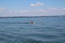 BODENSEEBOOT-Bodenseequerung-Hamza-Friedrichshafen-20160610-SEECHAT-_41_.JPG