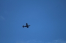 Flugshow-Militaerflugplatz-Meiringen-Bern-2016-06-17-Bodensee-Community-SEECHAT-DE-_162_.jpg