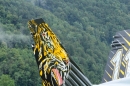 Flugshow-Militaerflugplatz-Meiringen-Bern-2016-06-17-Bodensee-Community-SEECHAT-DE-_36_.jpg