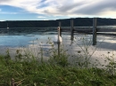 tHochwasser-Bodensee-2016-06-17-Bodensee-Community_SEECHAT_DE-IMG_4527.JPG