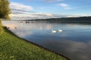 x4Hochwasser-Bodensee-2016-06-17-Bodensee-Community_SEECHAT_DE-IMG_4556.JPG