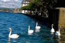 Hochwasser-am-Bodensee-Rorschach-2016-06-20-Bodensee-Community-SEECHAT-CH-_130_.jpg