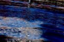 Hochwasser-am-Bodensee-Rorschach-2016-06-20-Bodensee-Community-SEECHAT-CH-_13_.jpg