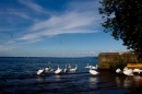 Hochwasser-am-Bodensee-Rorschach-2016-06-20-Bodensee-Community-SEECHAT-CH-_142_.jpg