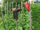 Hofflohmarkt-Kanzach-2016-07-10-Bodensee-Community-SEECHAT_80_.JPG